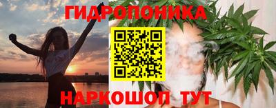 шишки Тулун