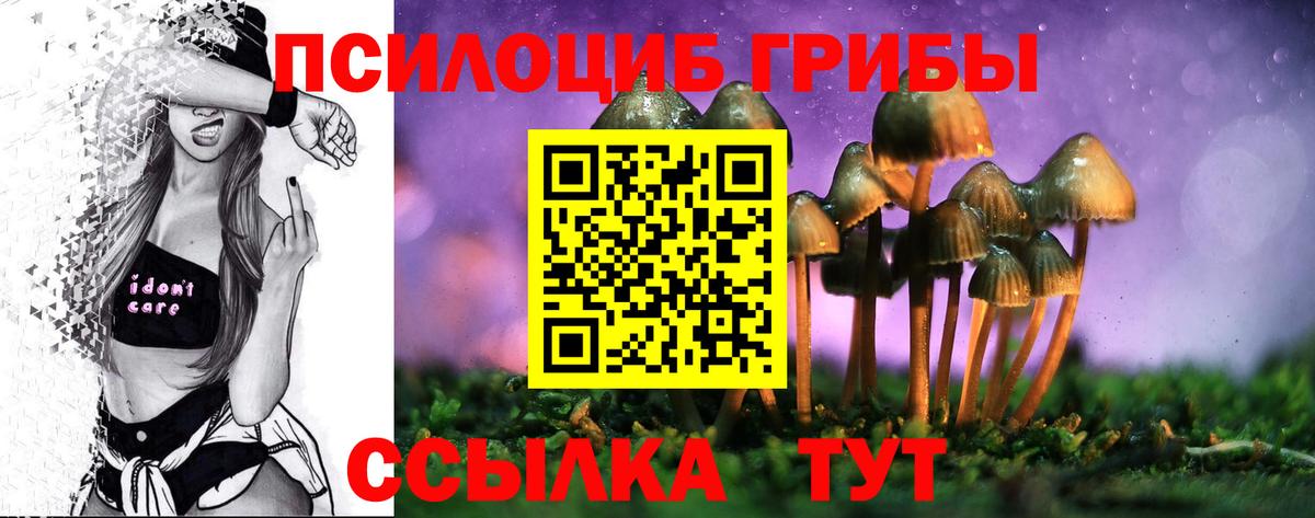 Псилоцибиновые грибы ЛСД Нижнеудинск